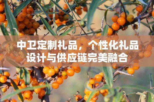 中卫定制礼品，个性化礼品设计与供应链完美融合