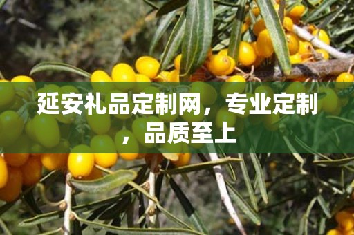 延安礼品定制网，专业定制，品质至上