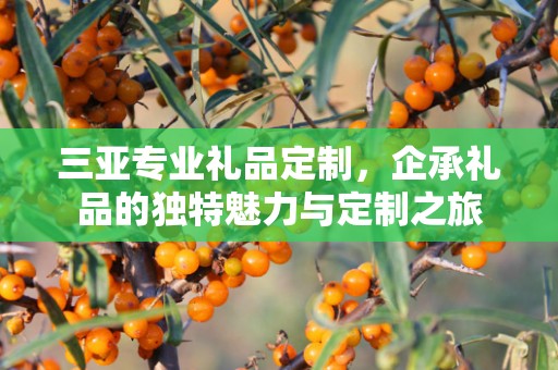 三亚专业礼品定制，企承礼品的独特魅力与定制之旅