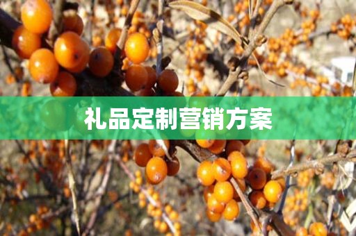 礼品定制营销方案