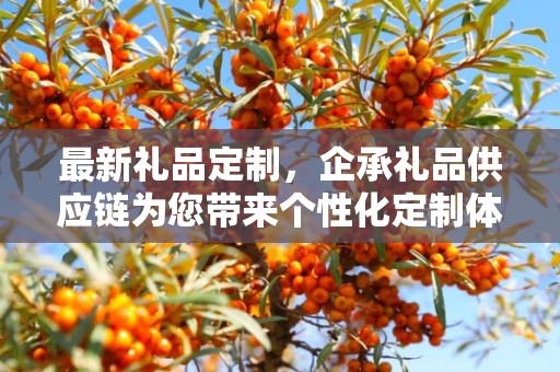 最新礼品定制，企承礼品供应链为您带来个性化定制体验
